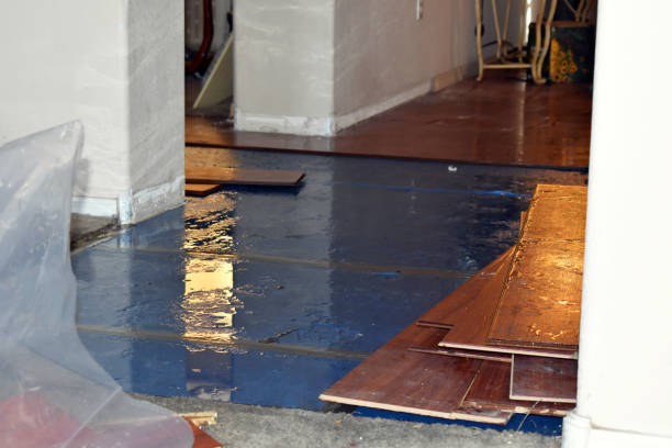 Professional Basement Flood Cleanup technician working in Waterville, MN